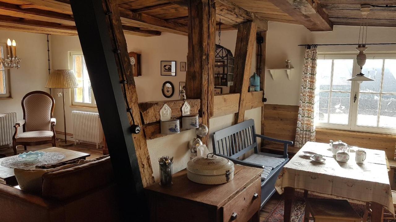 Hoher Hirschen: Historic Tudor House With Stylish And Museum Bodman-Ludwigshafen